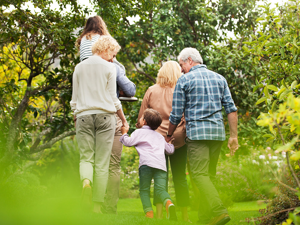 media box_0021_iStock-184316094 Multigenerational family walks together through a green garden path while holding hands.